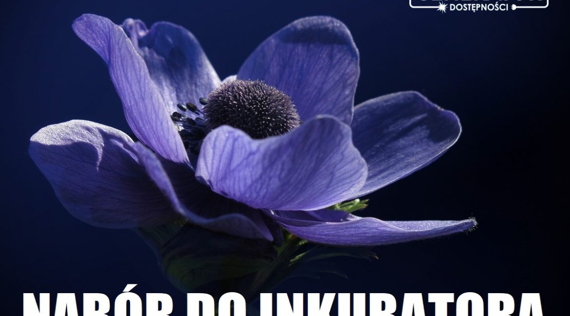Grafika z rozkwitającym niebieskim kwiatem, napisem "nabór do inkubatora" i logotypem Generatora Dostępności